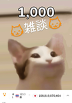 猫グループ雑談。