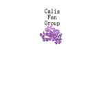 Calis Fan Group!