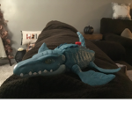 The mosasaurus gang