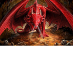 CDMS's Dragons