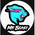 미스터 비스트
