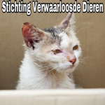 [SVD] Stichting Verwaarloosde Dieren