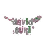 ʚ david + suki ɞ
