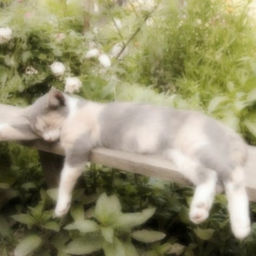 ♡