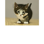 crunchykitten