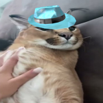 DG2
