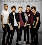 One Direction Fever