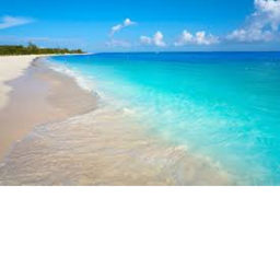 The Group Beach
