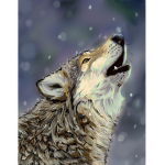 Wolfie studios!!!
