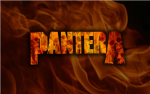 Pantera Fan Group!