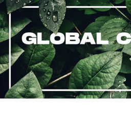 Global Clothing