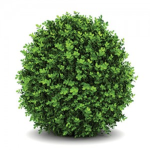 Bush.Corp