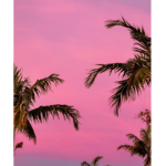 AestheticScythe Gaming