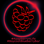 The Raspberry Bar Group