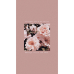 -grt aesthetic-