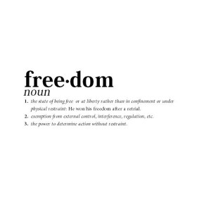freedom sim