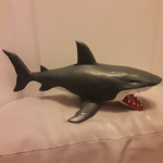 Shark lords!!!