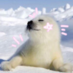  (̨̡,⋆,,−꒳−,,⋆)̧̢ 