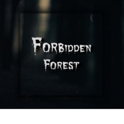 Forbidden Forest