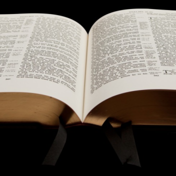 minecraftmagi's Place