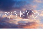 ~~ SKY GROUP ~~