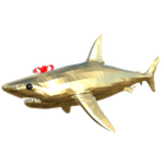 Golden Sharky