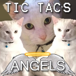 TicTac's Angels