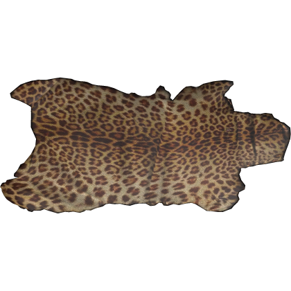 Maximalism Nomad Egypt Tiger Fur Rug 