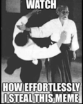 The Diversite