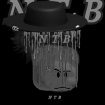 2N T B6
