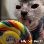 i make silly cat shirts