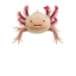 Axolotl group (only for axolotls)