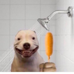 The ugly butholes