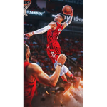 GOAT2.0