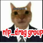 n t p drag official tt group