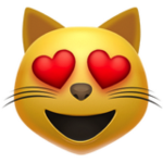 The cat l o v e r s fan group