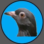FancyPigeonWings Fan Group