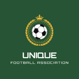 UFA | Test Pitch