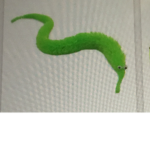 The Worm On A String Cult