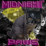 MlDNlGHT PAWS