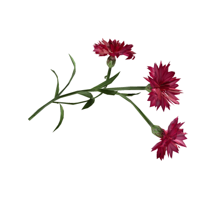 Red Wild Flower [R]