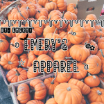 ʚ emery’s apparel ɞ