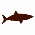 Shadow Sharks