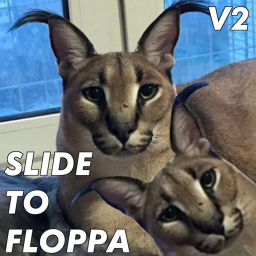 Slide To Floppa