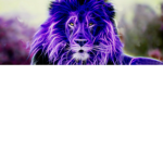 Samer_Simba