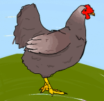 !!CHICKEN ARMY!!