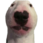 zi0npack