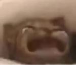 Frog Juice Drinkers
