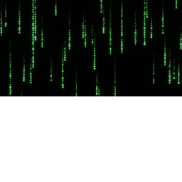 ENTITY