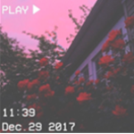 Simply_sage